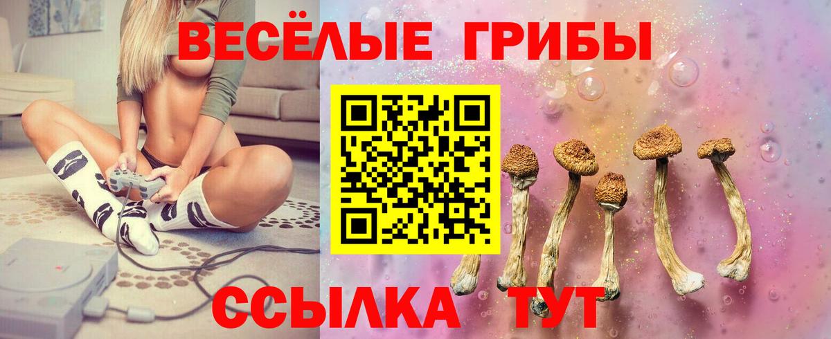 Галлюциногенные грибы ЛСД Новороссийск